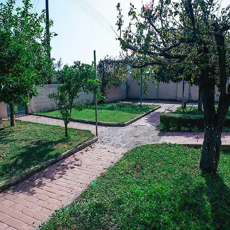 Drosia, 2 Hours From Athens, Few Seconds From The Beach *