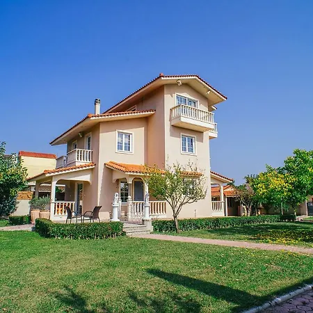 Drosia, 2 Hours From Athens, Few Seconds From The Beach *
