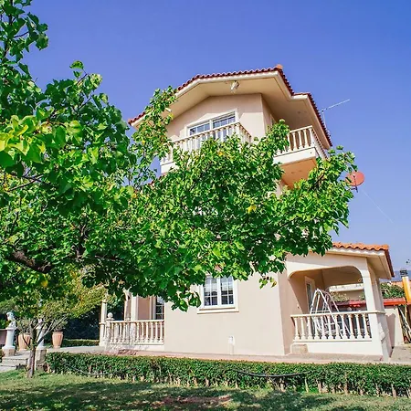 Drosia, 2 Hours From Athens, Few Seconds From The Beach *