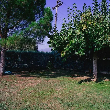 Drosia, 2 Hours From Athens, Few Seconds From The Beach * Kouvéla