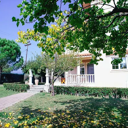 Drosia, 2 Hours From Athens, Few Seconds From The Beach *