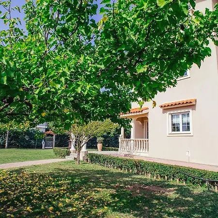 Drosia, 2 Hours From Athens, Few Seconds From The Beach